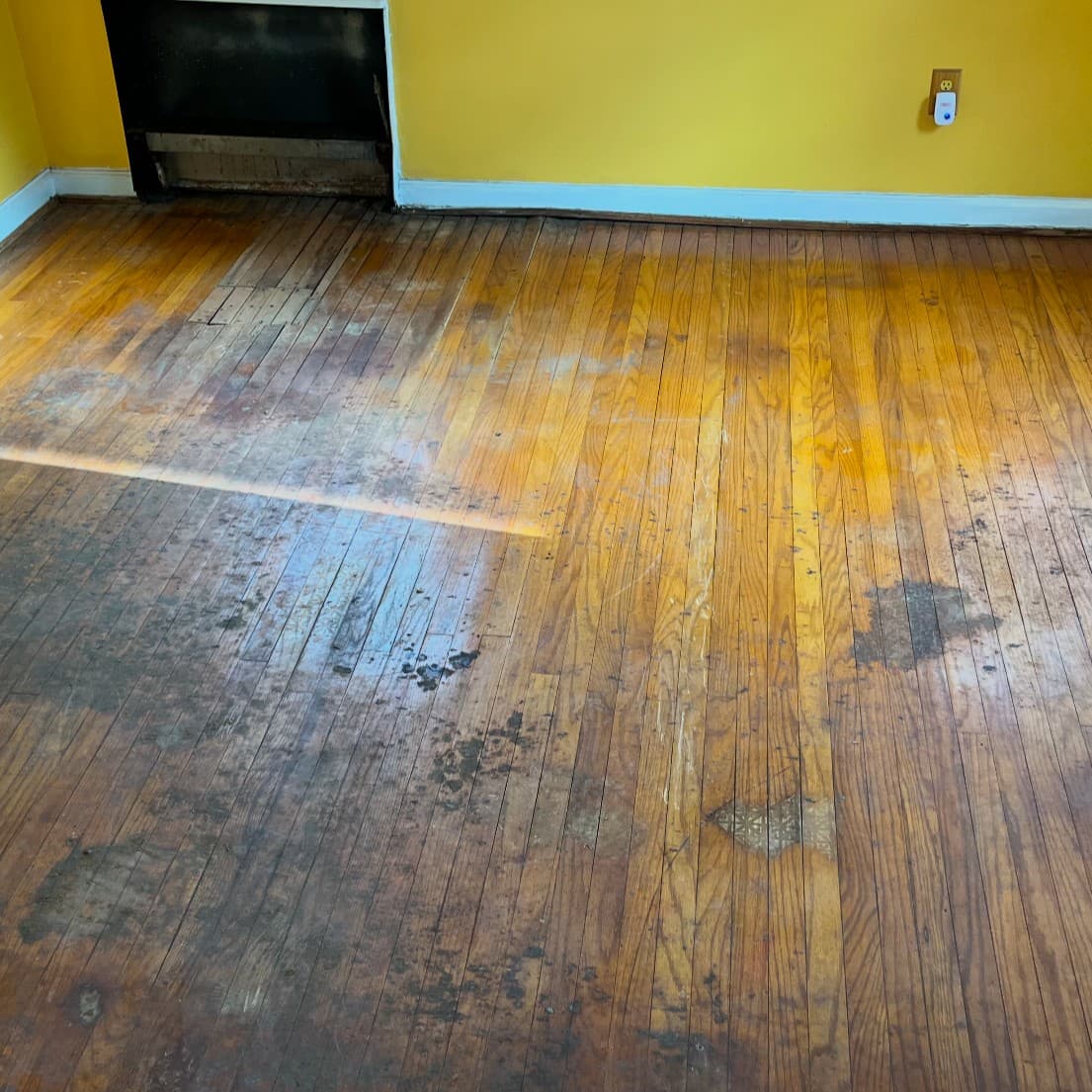 Before: Floor Refinishing Project - Scratched and worn floors restored to like-new condition